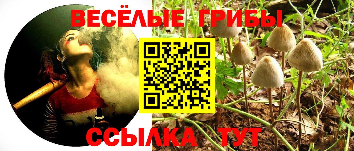 Галлюциногенные грибы ЛСД  Вход с VPN  Междуреченск 