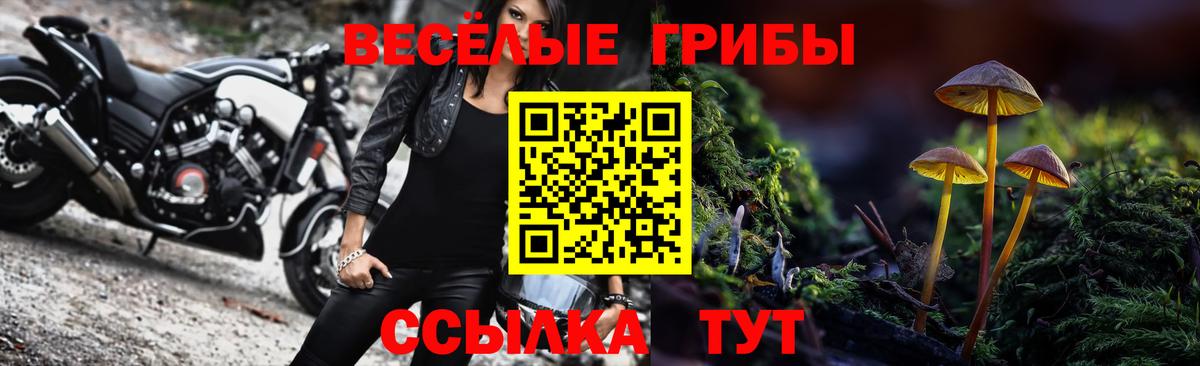Галлюциногенные грибы GOLDEN TEACHER Междуреченск